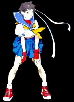 Sakura from Street Fighter Costume